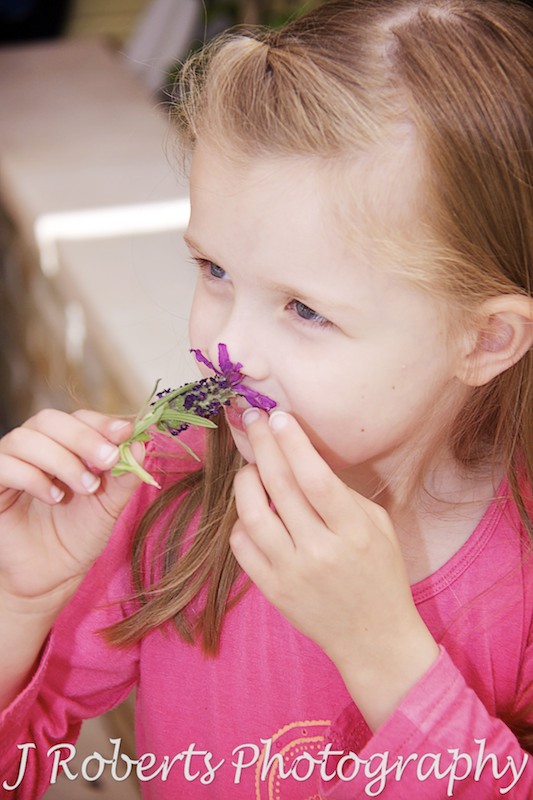 Little girl smelling some lavender - family portrait photography sydney